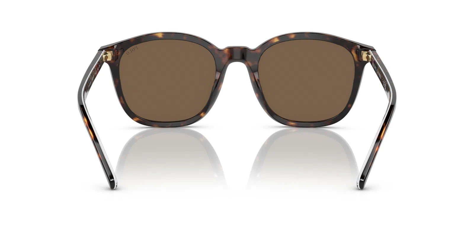 Polo 4188F Sunglasses - view 7